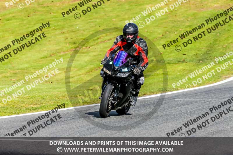 Oulton Park 20th March 2020;PJ Motorsport Photography 2020;anglesey;brands hatch;cadwell park;croft;donington park;enduro digital images;event digital images;eventdigitalimages;mallory;no limits;oulton park;peter wileman photography;racing digital images;silverstone;snetterton;trackday digital images;trackday photos;vmcc banbury run;welsh 2 day enduro